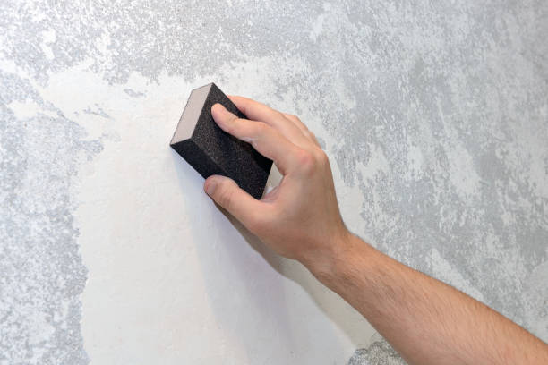 Professional Mold Removal in Lyman, SC
