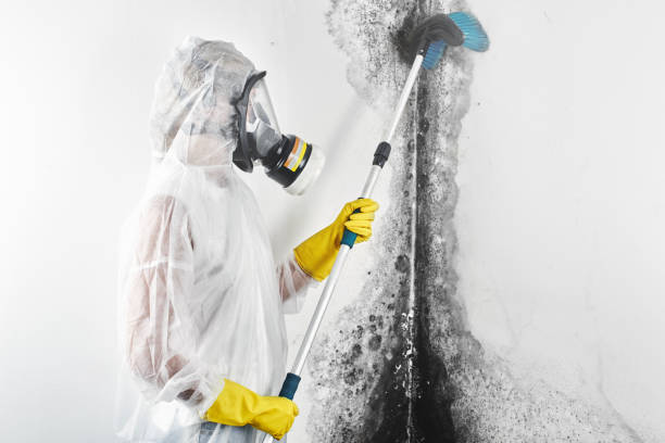 Best Dehumidification Services  in Lyman, SC