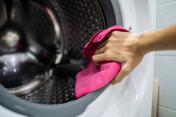 Best Mold Odor Removal Services  in Lyman, SC