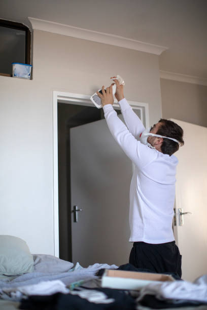 Best Basement Mold Removal  in Lyman, SC