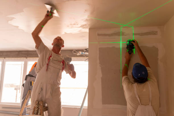  Lyman, SC Mold Removal Pros