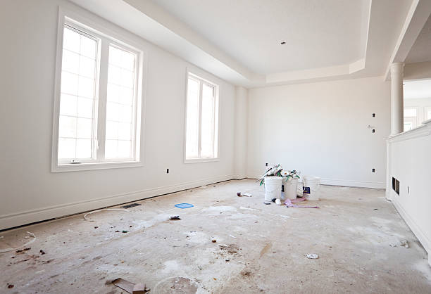 Best Mold Damage Restoration  in Lyman, SC