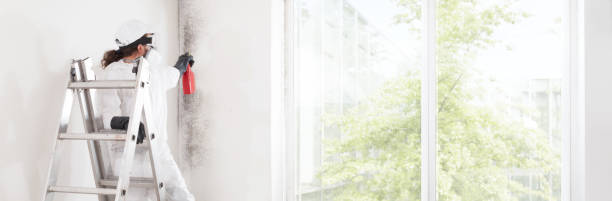 Best Environmental Consulting for Mold Prevention  in Lyman, SC
