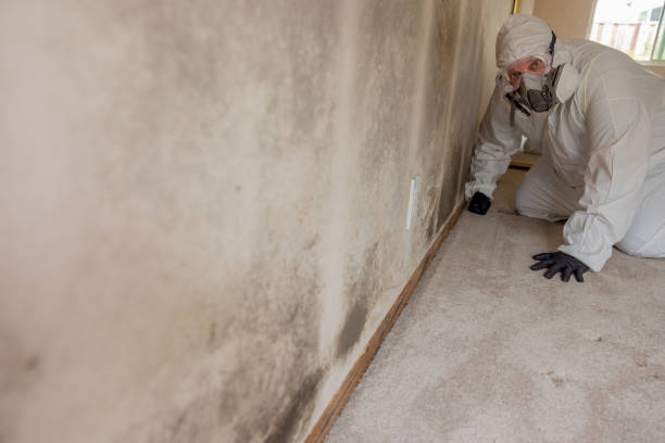 Best Dehumidification Services  in Lyman, SC