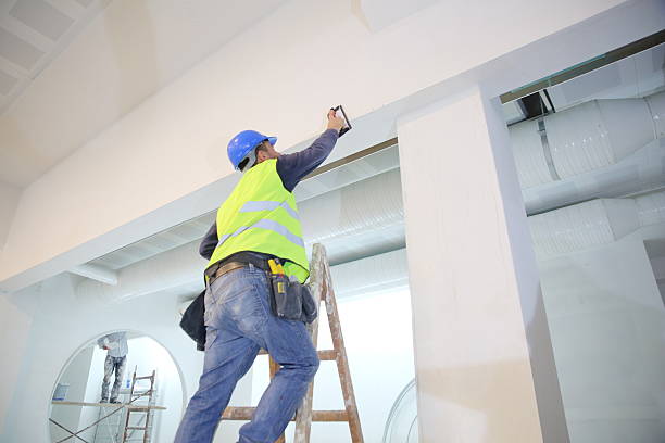 Best Commercial Mold Inspection  in Lyman, SC