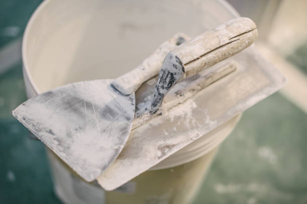 Best Biohazard Mold Removal  in Lyman, SC