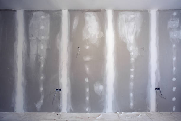 Mold Remediation for Rental Properties in Lyman, SC