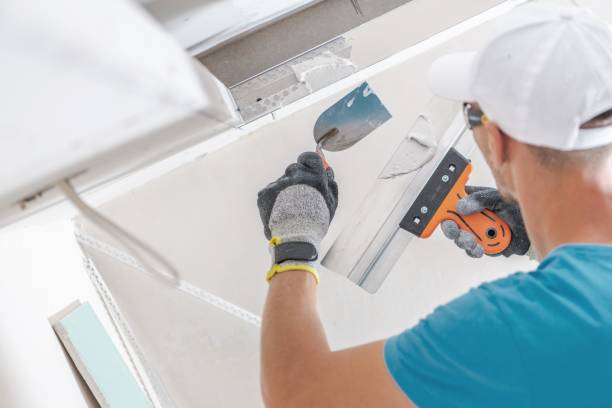Best Asbestos and Lead Testing During Mold Inspection  in Lyman, SC